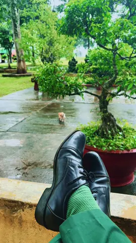 Ghép nhạc cái tưởng thất tình 😳#thứ7mưa#VQ 