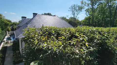 #sera #puede #Valorant 