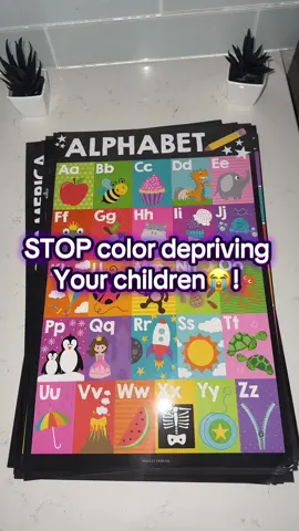 #tiktokshop #tiktokshopfinds #toddlerlearning #toddlerlearningactivities #momsoftoddlers #homeschool #momsoftoddlers #momof2 