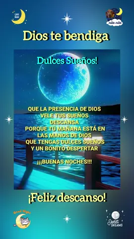 BUENAS NOCHES🌞💤💕🫂 #graciasdios #lindanoche #dulcessueños #felizdescanso #diostebendiga 