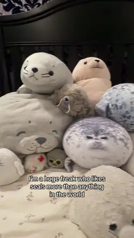 ar ar ar 🦭✌️ #seal #fyp #alt