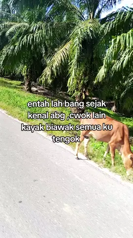 #fypage #fypシmasukberandafyp #langsa_aceh #iyalahbang 