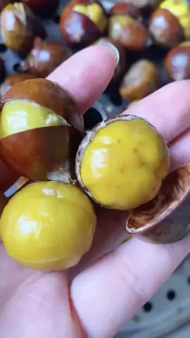 #nongsanthuhuyen ##hatde #traicay #xh 