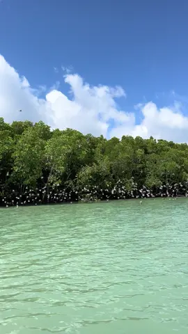 บรรยากาศในเวลานํ้าเต็ม🏝️🕊️🫶🏼 #jetski #jetskiphuket #phuketthailand🇹🇭 #ฟีดดดシ 