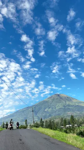 #fyp #gunungsindoro #wonosobo #wonosobo24jam #kebuntehtambi 