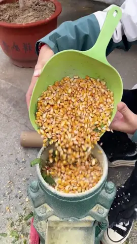 160Feed pellet machine testing #pelletmachine #pelletmaker #pellet #feedpellet #fuelpellets  