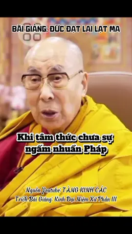 BÀI GIẢNG ĐỨC NGÀI ĐẠT LAI LẠT MA Nguồn Youtube: Tàng Kinh Các #ducdatlailatma #dalailama phatphapnhiemmau🙏🙏🙏#mattongkimcuongthua #phatphapmaunhiem