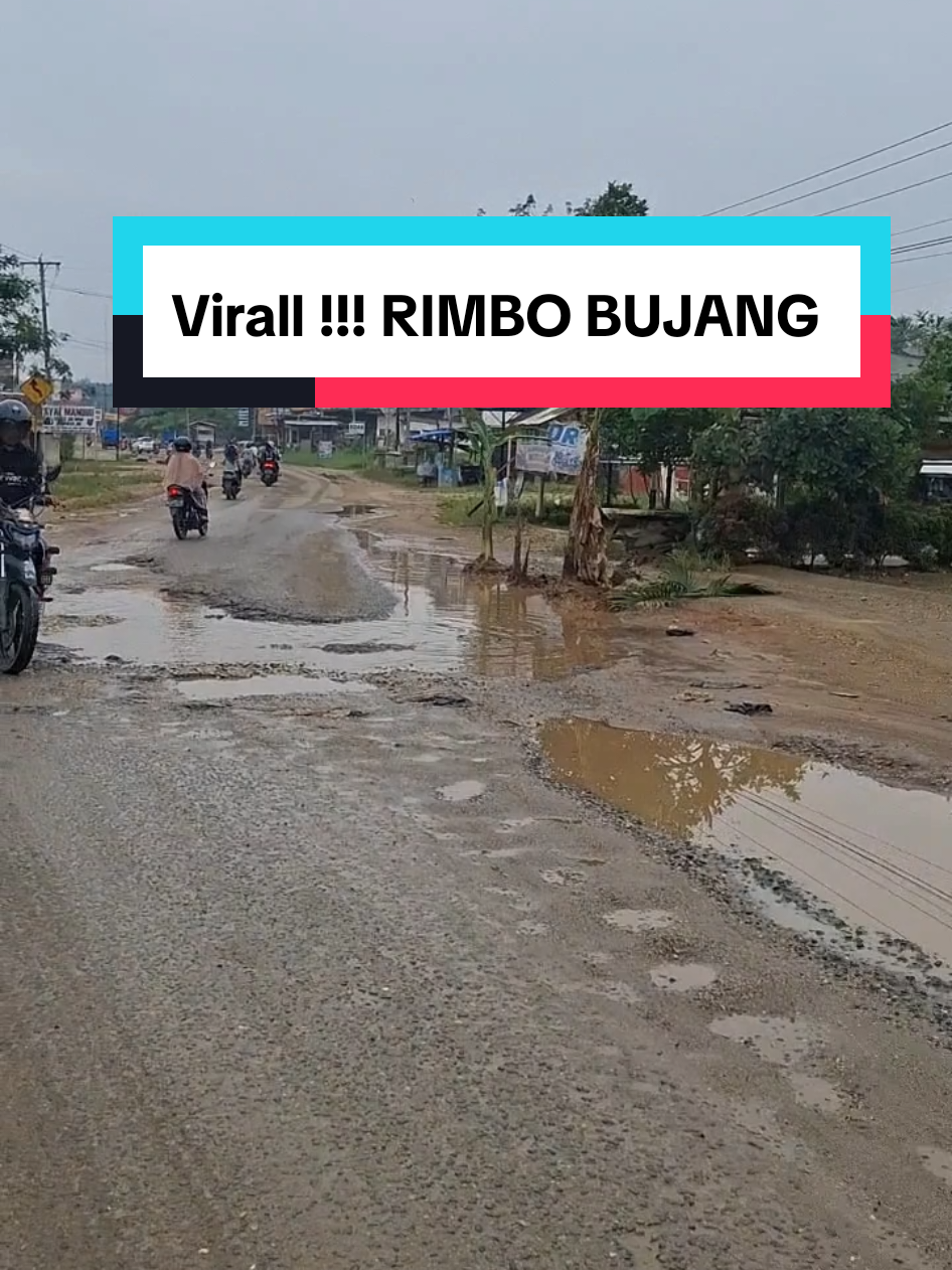 viralll !!!! rimbo bujang #jambi #fyp #tiktok #rimbobujang #tebo 