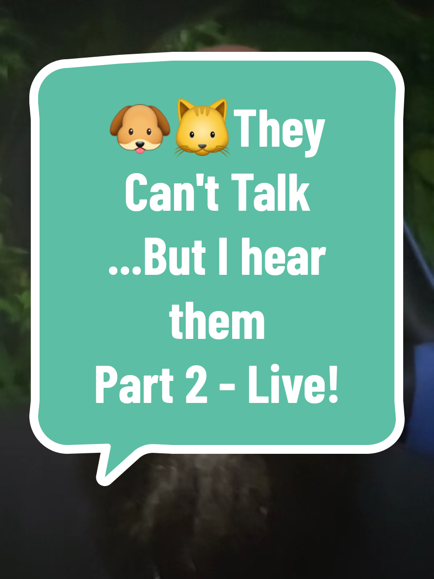 If you ALREADY commented your pets name ( see original-thumbnail *They Can't Talk...But I Hear them ) and you haven't received a message from your pet. Stop by my live-comment: 