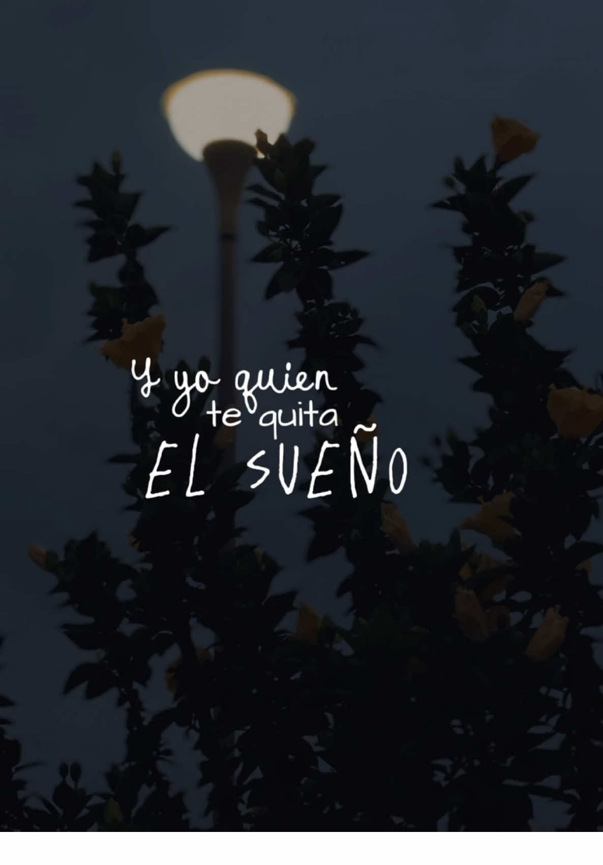 Yami Safdie, Manuel Turizo/Amor prestado #CapCut #chocomaris #ranitalila #videoslyrics #amorprestado @Manuel Turizo @Yami Safdie 