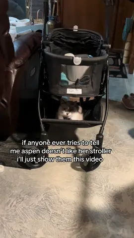 afraid we’re going to leave without her