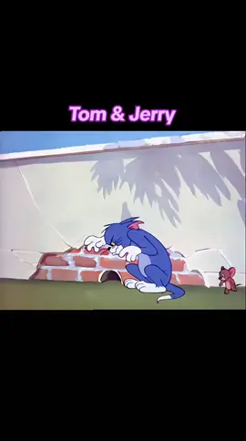 Tom & Jerry  #followers  #highlightseveryone #fypシ゚viralシ #highlights  #tiktokreels 