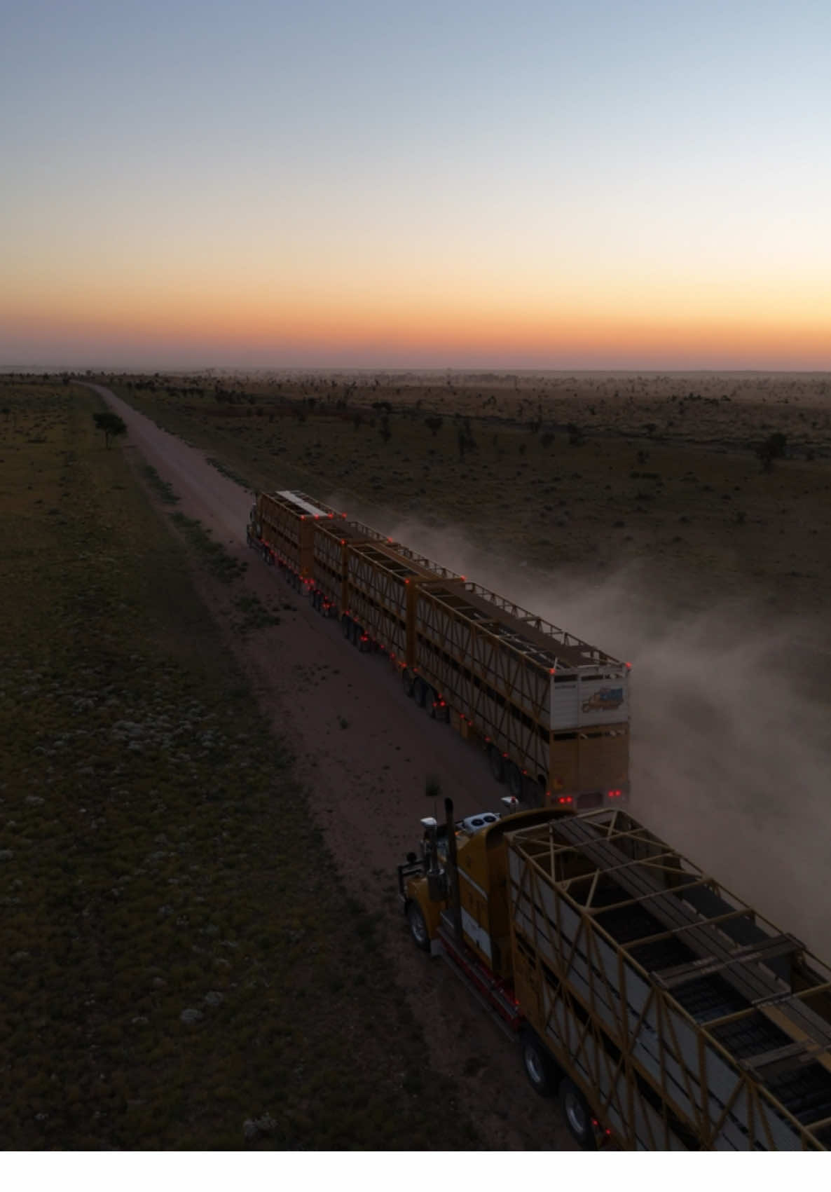 Don’t tell them I volunteered to close the gate. #fyp #viral #martinslivestock #cowtruck #outback 