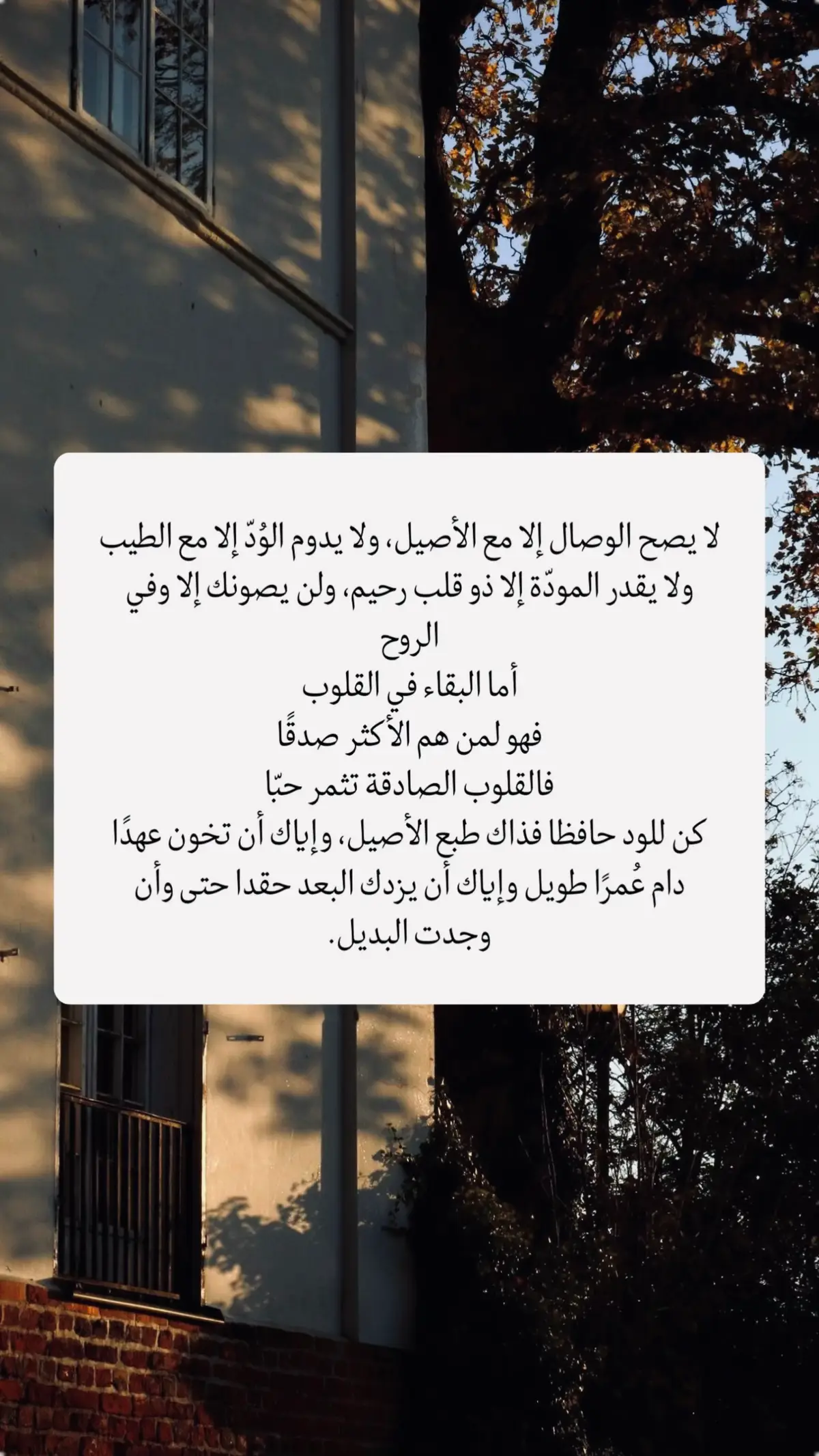 #اقتباس #فصحى #fyp #foryou #اقتباسات 
