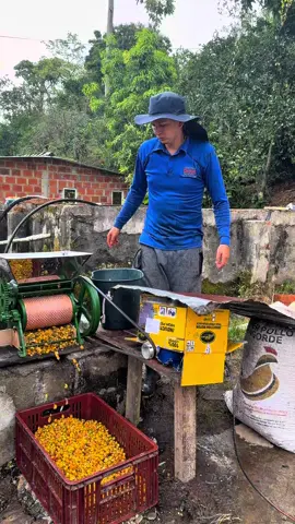 Así instalo el techo para mi despulpadora de café 