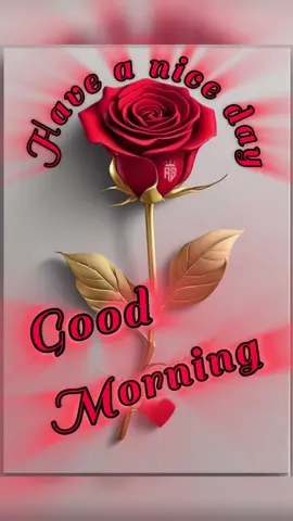 #good morning best wishes for everyone #🌹🦋☕️🎂#پا گل لڑکی #