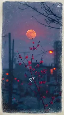 Aveces la vida no avisa #fpy