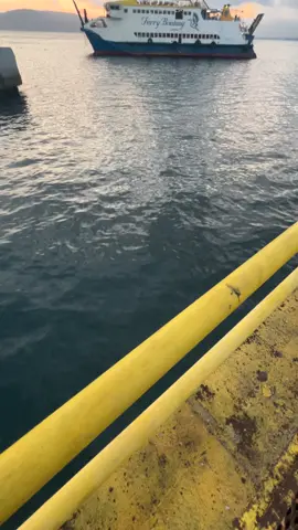 #selatbali #lagubanyuwangi #dinikurnia #fypppppppppppppp 