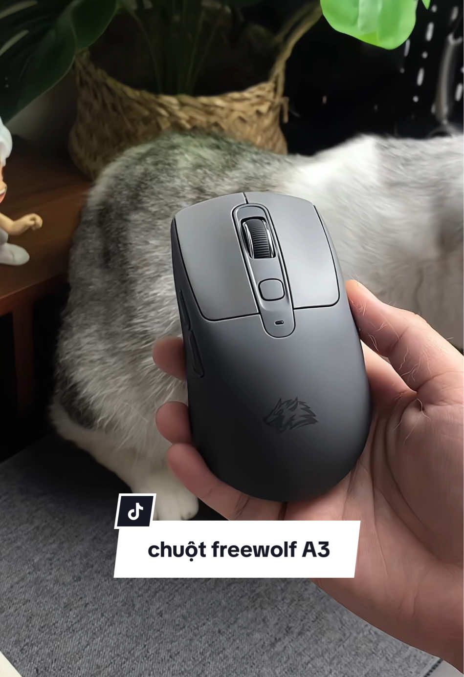 Chuột không dây Freewolf A3 #chuotvanphong #chuotkhongday #chuotmaytinh #chuotmaytinhkhongday #freewolfa3 