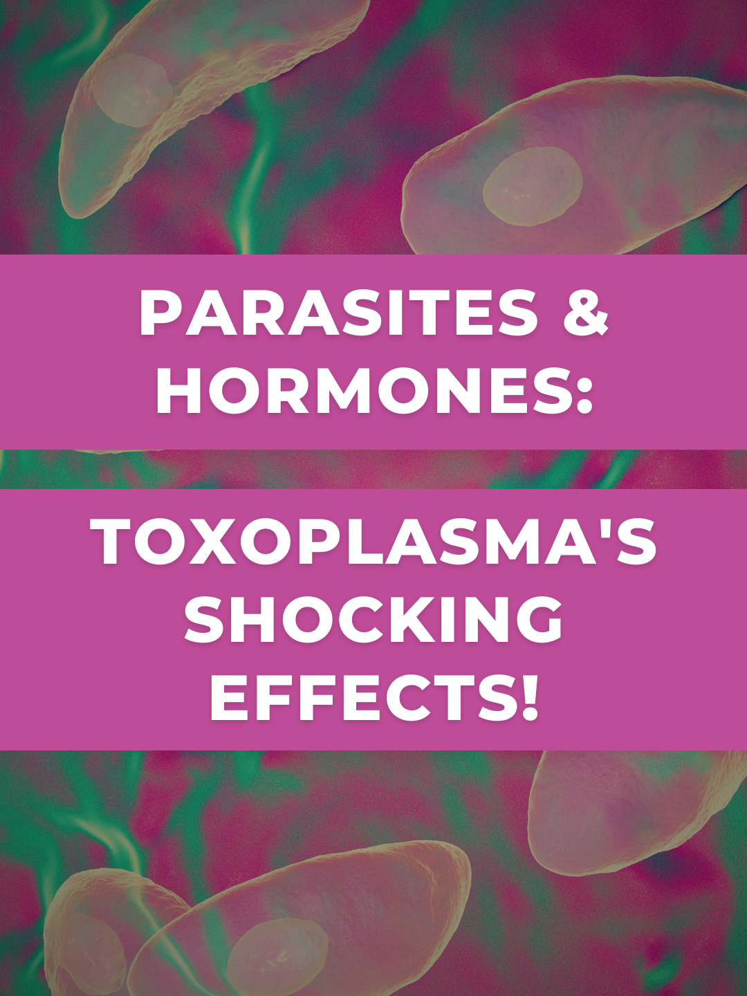 Parasite's Hormone Hijack... Toxoplasma's Effects 🤯#drshawnbladel #completewellness #question #answer #parasites #fyp  Unauthorized use of this video to promote products or services is strictly prohibited. Original content by Recreated Health.