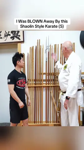 I Was BLOWN Away By this Shaolin Style Karate (5)#Wingchun #Muaythai #Karate 