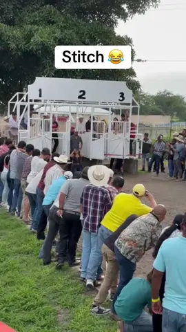 #stitch with @Tovii amigon 