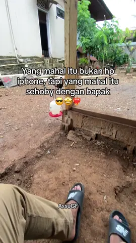 #peternakmuda #ayamplipin🇸🇽 #storywa #bulanganlondong🐓 #fypシ゚viral 