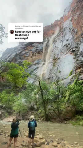 Replying to @StreetFashionHero little late haha!! Saw this during the hike! #flashflood #zion #nationalpark #hike  