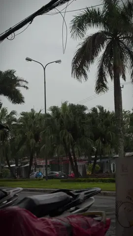 Một buổi sáng mưa tại thành phố nhỏ Tam Kỳ 🌧️ #tamky  #muadaumua🌧 #muavetrenpho #muavaamnhac 