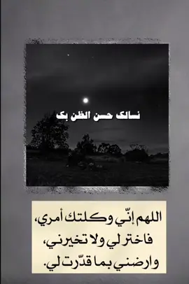 #يارب_فوضت_امري_اليك 