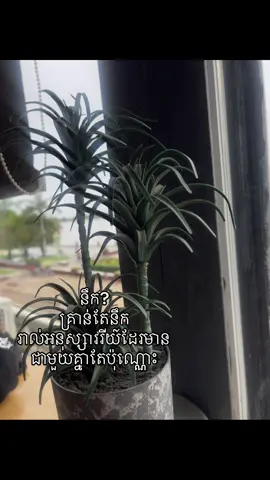 នឹក តែឈប់ស្រលាញ់ហើយ! #mentionyourlove #fypシ 
