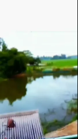 # Robiul islam TikTok video for you # Bagla des # Omor an fayar TikTok video for you # 