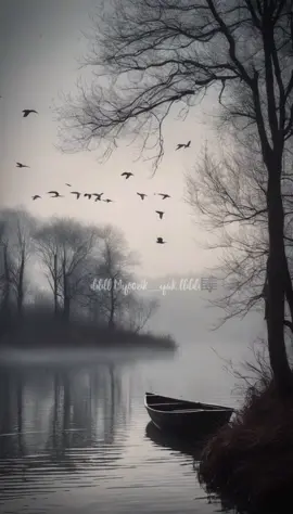 🎼Pottu Vaitha Vatta Nila. . .  📽Idhayam Vintage hits 🎯🫠 🎯🔊 56th ✨️🌀 . . . . Follow 💐 🥰 👉🏻 @myo0zik_yak  #pottuvaithaoruvattanila #idhayam #tamillyricssong #ilaiyaraaja #tamilstatus 