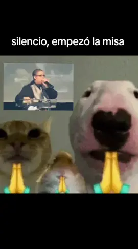 #hectorelfather #reguetonantiguo #melo #2025tiktok #viralsong 