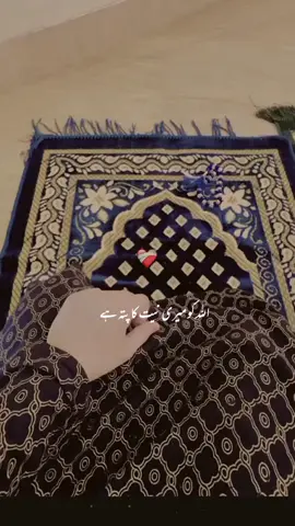 #🕋🕋🕋🕋🕋🕋  #fyppppppppppppppppppppp 