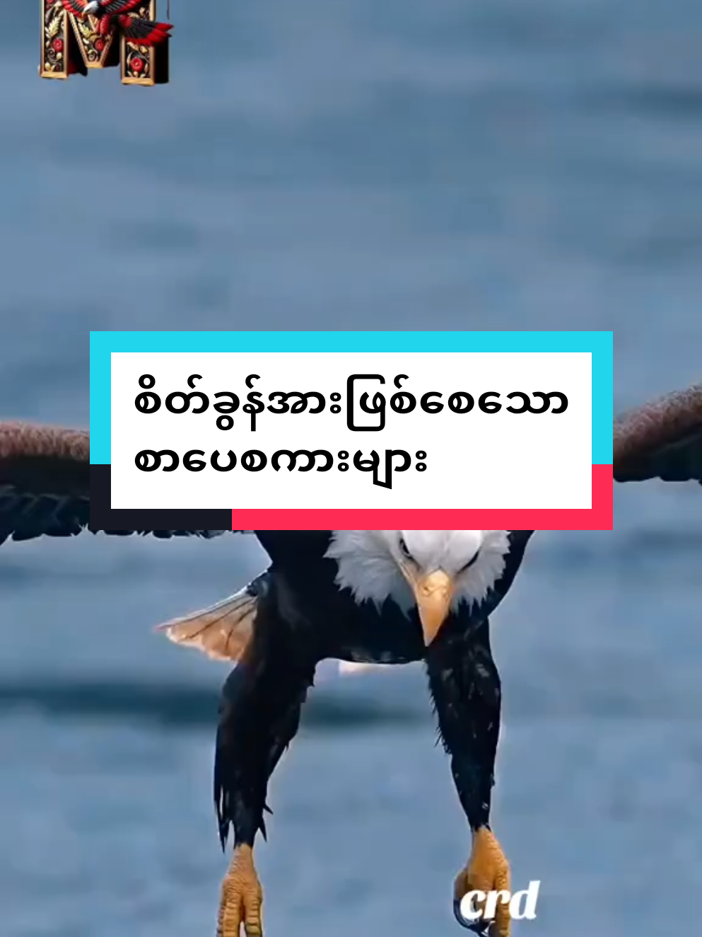#အဖီးလ်သမားလေးကျွန်တော် #စိတ်ခွန်းအားဖြစ်စေသောစာပေစကားများ#မူရင်းကိုcrdပေးပါတယ် 🙏#titokmyannar🇲🇲 #foryoupage❤️❤️ 