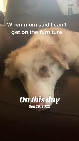 #onthisday 