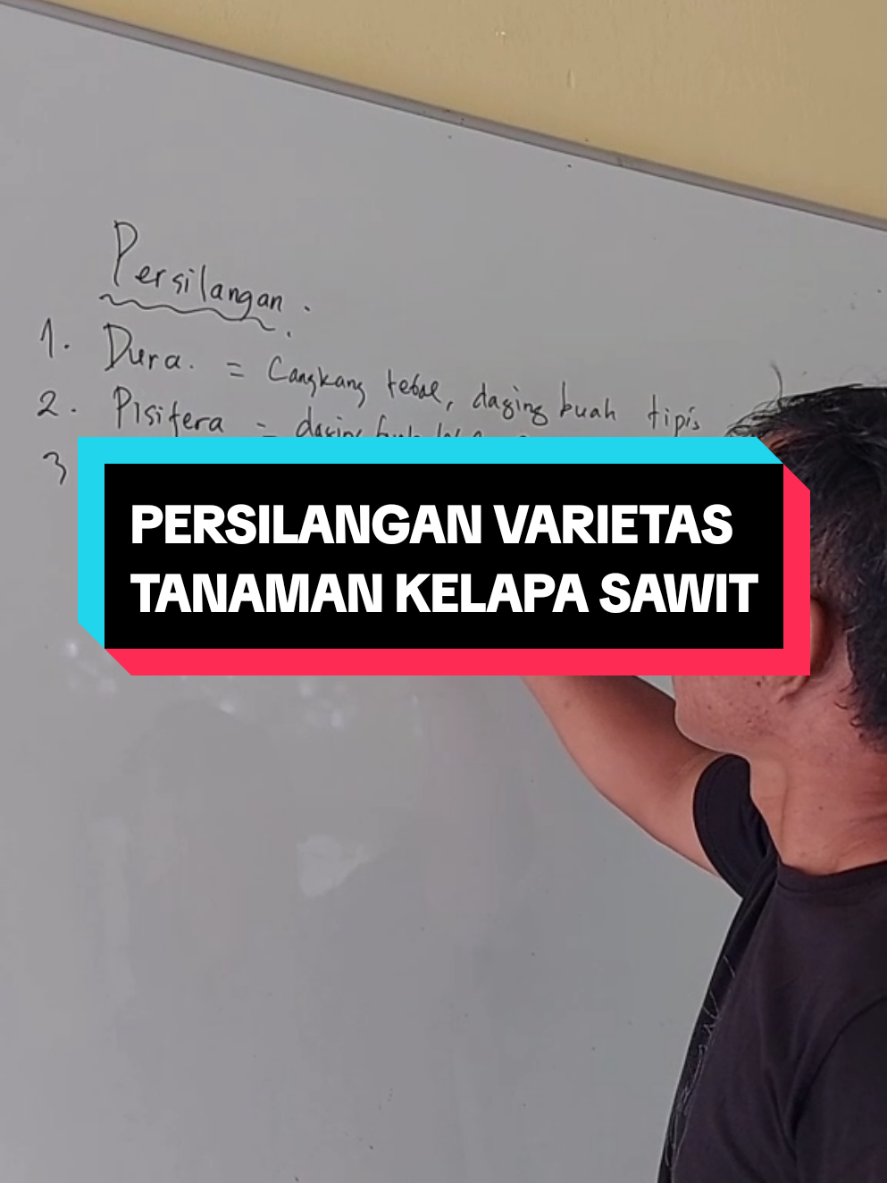 Persilangan Varietas Kelapa Sawit #sawitkalimantan #fypシ゚viral #palmoil #persilangan 