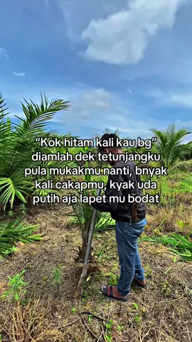 #kulisawit #kulisawitriau #petanimuda #sawitriau #fyp 