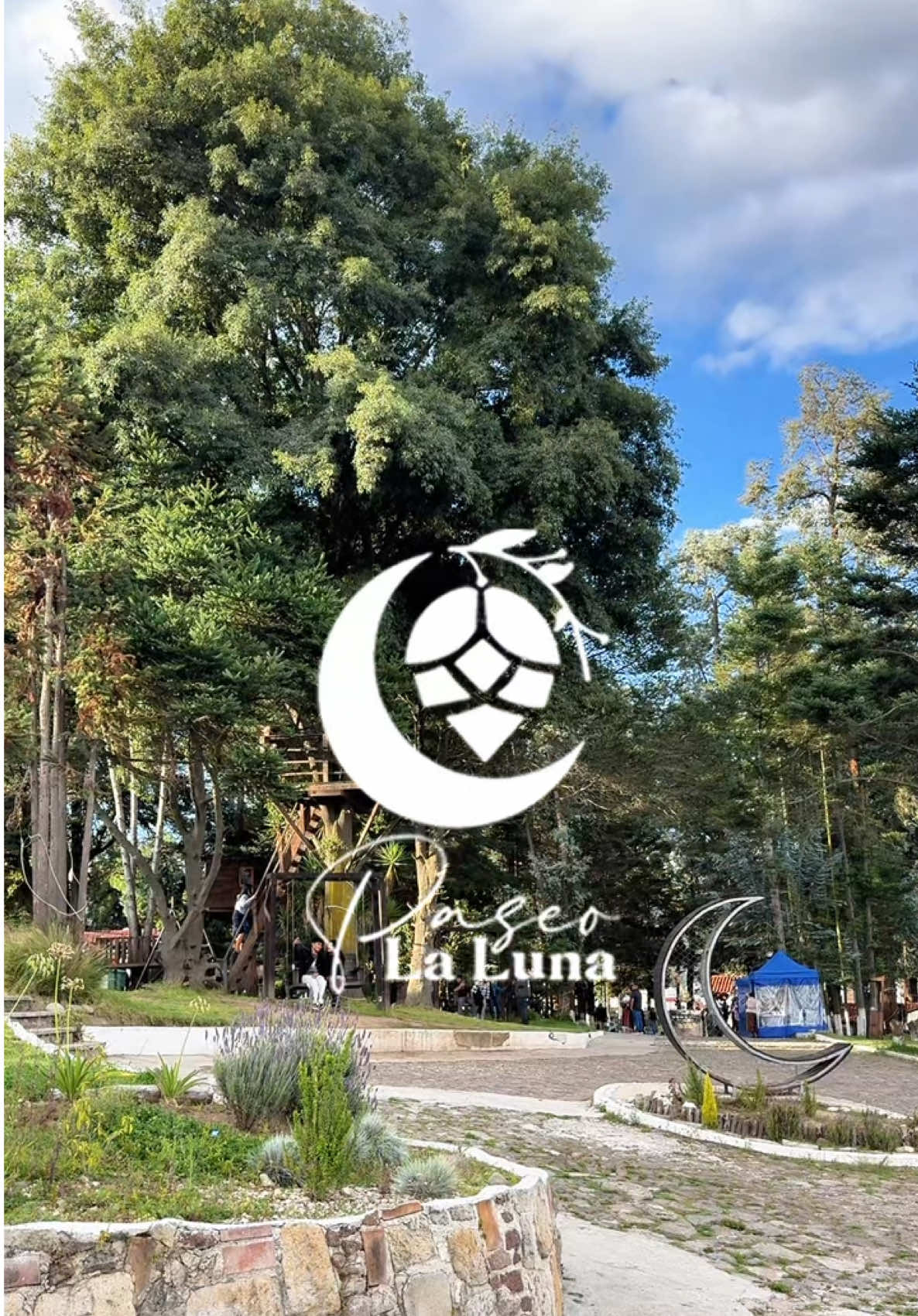 ¡Cosas que no sabías de Paseo La Luna! 🤩 cuéntanos cuál no sabías y espera la segunda parte. 👀 y vente a dar una vuelta con amigos y familia!  #paseolaluna #xela #familia #amigos #restaurantesxela 