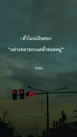 บ่เคยตั๋วไผ แค่เว่าบ่เบิดสื้อๆ 🤣 #เธรด #สตอรี่_ความรู้สึก😔🖤🥀 #เธรดเพลงเพราะシ🤍 #tiktok #เธรดอีสาน 