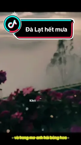 Câu chuyện dài về mưa ĐÀ LẠT! Chill lắm nhà! #ngamhoanghon #coffee #tiemnuongdalat #sanmay #tra 
