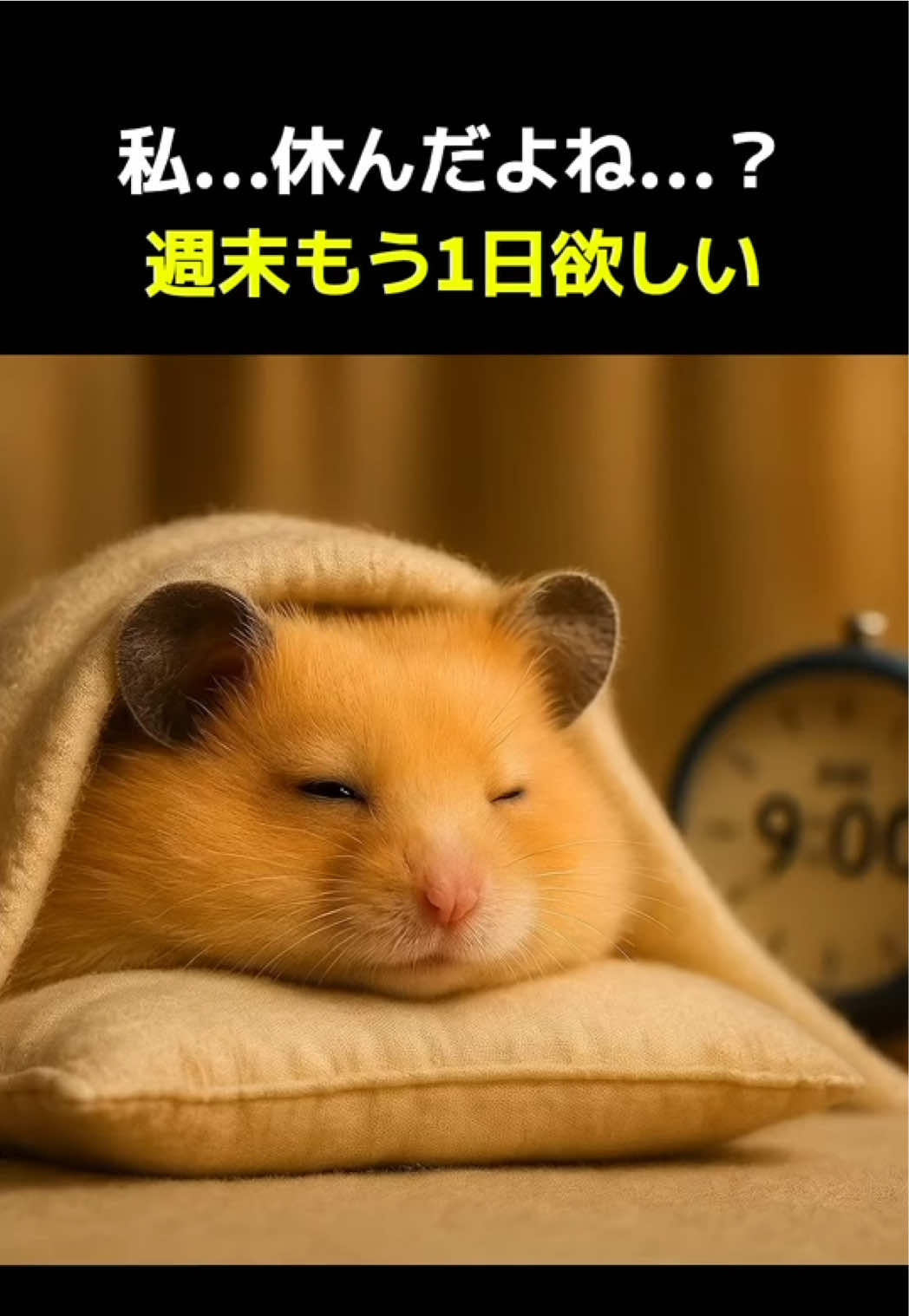 今週末もこうなるんだろうな #ハムスター 