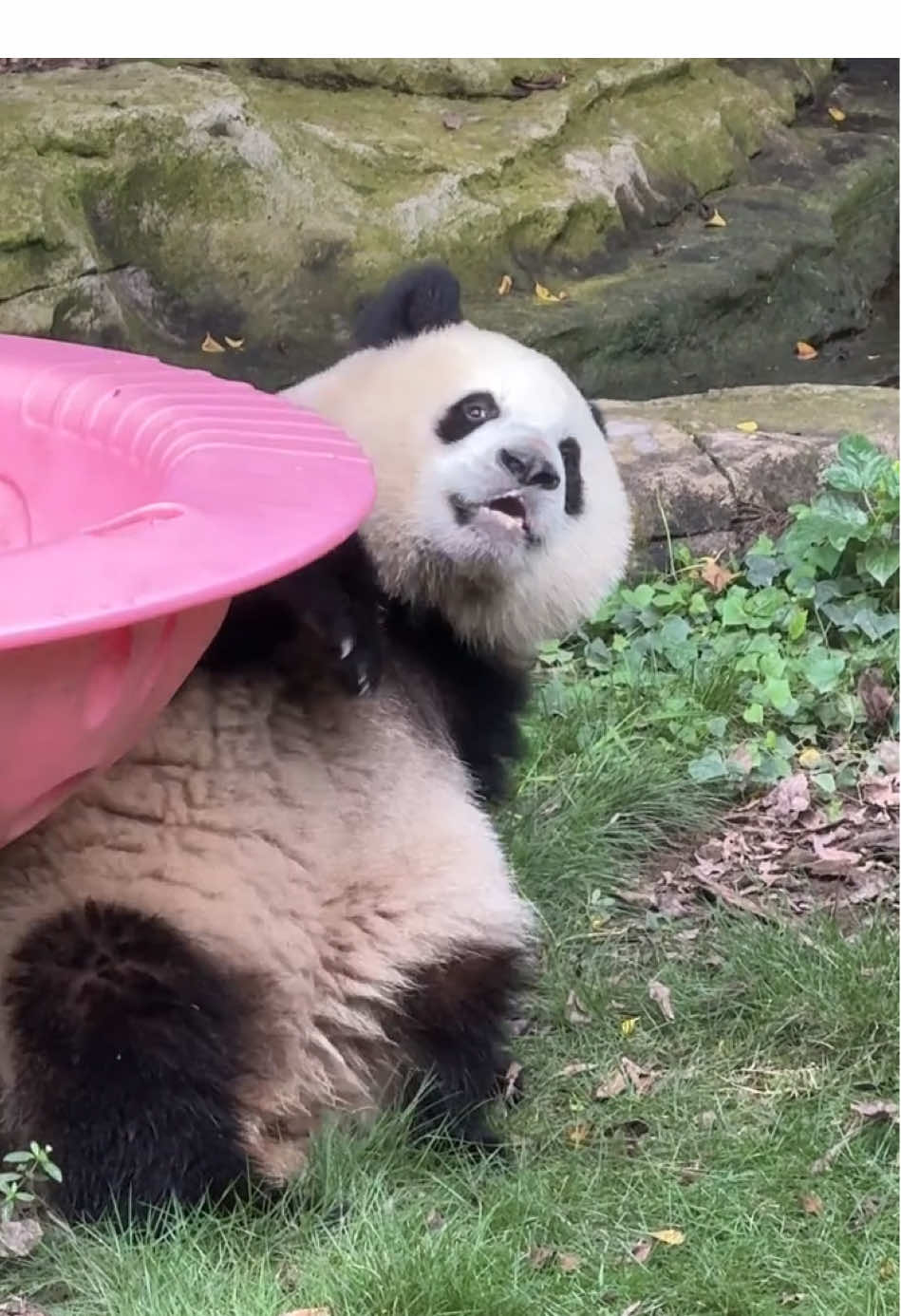 三妹：？？ 谁撞我