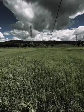 一开始就不是我，到了最后也不会是我。 Ngay từ đầu đã không phải là em, thì đến cuối cũng không phải là em.”