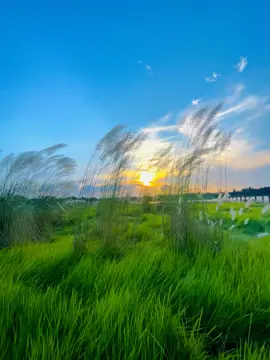 তোর হৃদয় আঙ্গিনায় থাকতে আমি চাই,,🥹❤️‍🩹#foryou #foryoupage #flowers #highlight #viralvideo #vairal #trending #tiktok #bdtiktokofficial #unfrezzmyaccount 