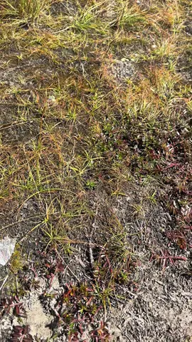 North ABC  #northabc #trekking 