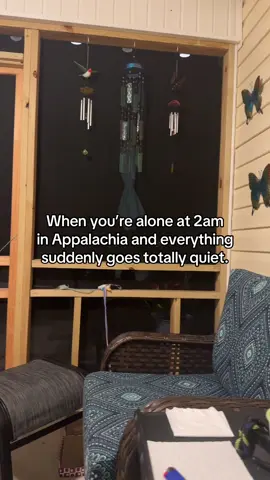 I got goosebumps and SPRINTED inside. #appalachia #appalachianmountains #skinwalkers #mimics 