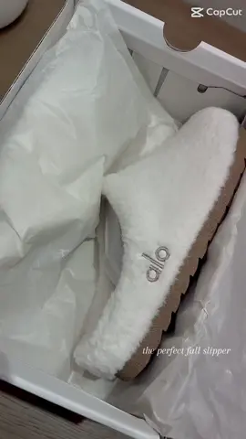 Sooooo cute @alo 🤎 #fyp #fy #slippers #fallslippers #alo 