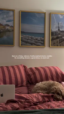 my version of heaven  #romanticizeyourlife #late20s #agirlandherdog #minigoldendoodle #bedroomdecor 